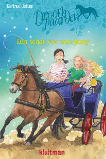 Een schat van een pony