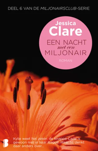 Een nacht met een miljonair
