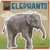 Elephants