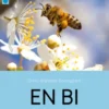 En bi