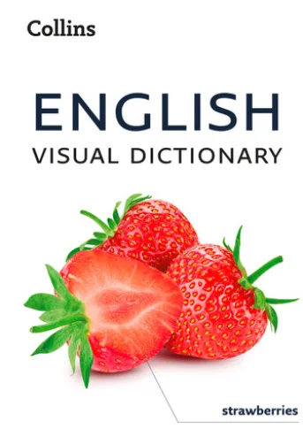 English Visual Dictionary