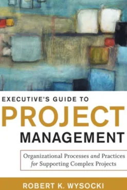 Executive's Guide to Project Management