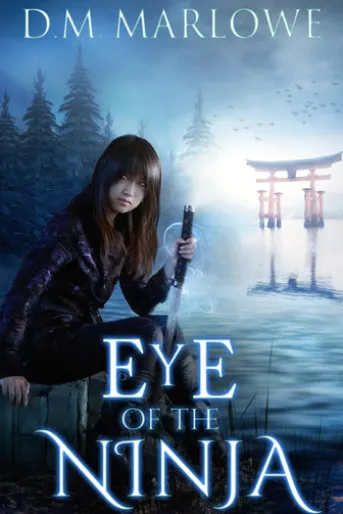 Eye of the Ninja