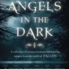 Fallen: Angels in the Dark