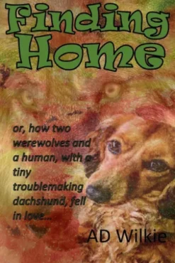 Finding Home