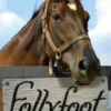 Follyfoot