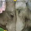 Fotografie: dierentuinfotografie in Diergaarde Blijdorp