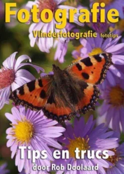 Fotografie: vlinderfotografie fototips