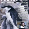 French Short Stories for Beginners - English French