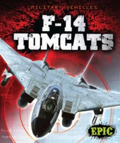 F-14 Tomcats