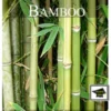 14 Fun Facts About Bamboo: Educational Version