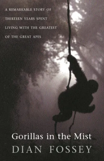 Gorillas in the Mist
