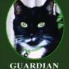 Guardian Angel