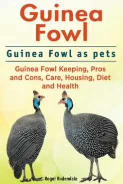 Guinea Fowl. Guinea Fowl as pets. Guinea Fowl Keeping, Pros and Cons, Care, Housing, Diet and Health.