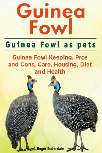 Guinea Fowl. Guinea Fowl as pets. Guinea Fowl Keeping, Pros and Cons, Care, Housing, Diet and Health.