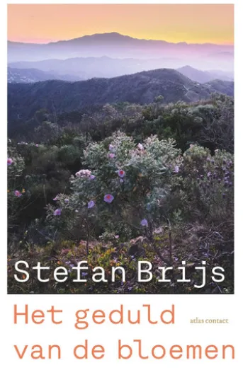 Het geduld van de bloemen