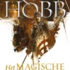 Het Magische Schip