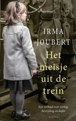 Het meisje uit de trein