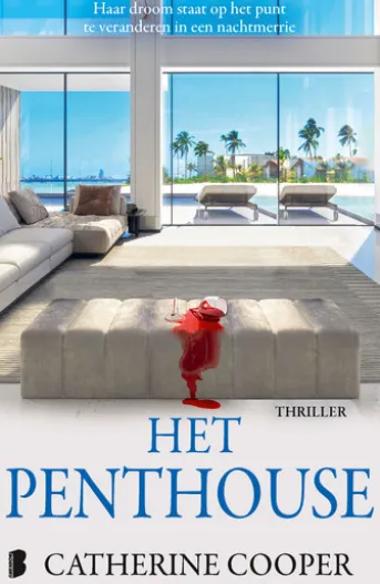 Het penthouse