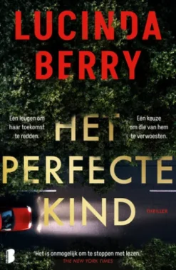Het perfecte kind