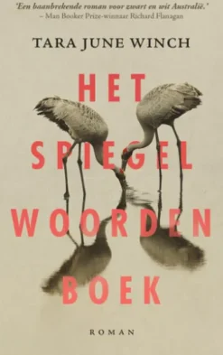 Het spiegelwoordenboek