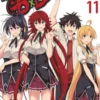 High School DxD, Vol. 11