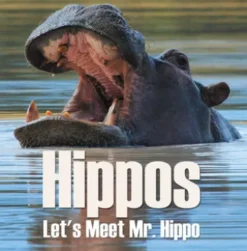 Hippos - Let's Meet Mr. Hippo