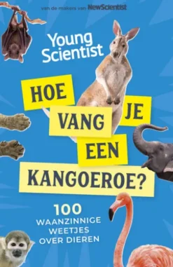 Hoe vang je een kangoeroe?