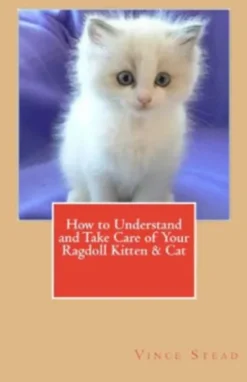 How to Understand and Take Care of Your Ragdoll Kitten & Cat