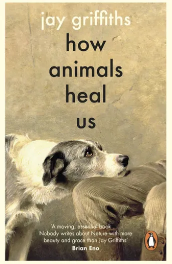 How Animals Heal Us
