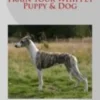 How to Understand and Train your Whippet Puppy & Dog