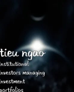 Institutional Investors Managing Investment Portfolios
