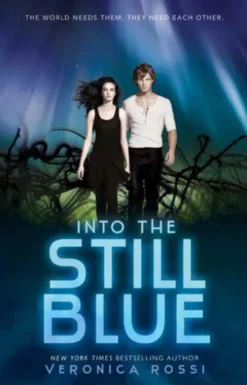 Into the Still Blue