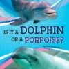 Is It a Dolphin or a Porpoise?