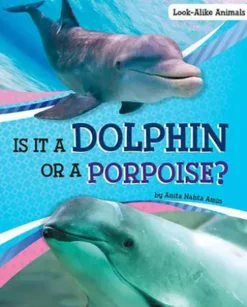 Is It a Dolphin or a Porpoise?
