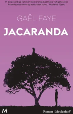 Jacaranda