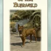 JOCK OF THE BUSHVELD - The Classic African Children's Story