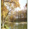 La Grenadière . 14