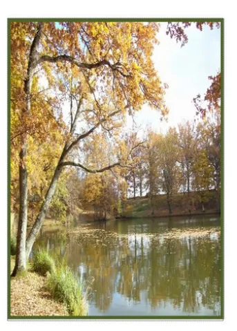 La Grenadière . 14