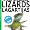 Lizards / Lagartijas