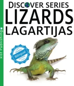 Lizards / Lagartijas