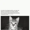 Lost Cat