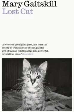 Lost Cat