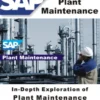 Mastering SAP Plant Maintenance