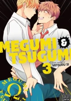 Megumi & Tsugumi, Vol. 3 (Yaoi Manga)