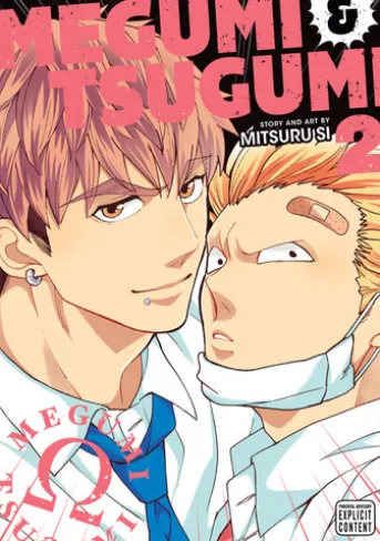 Megumi & Tsugumi, Vol. 2 (Yaoi Manga)