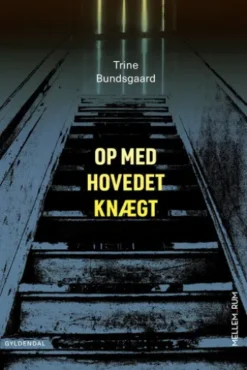 Mellem_rum. Op med hovedet knægt