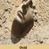 Metamorphoses