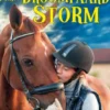 Mijn droompaard Storm