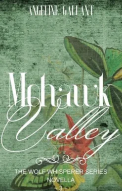 Mohawk Valley